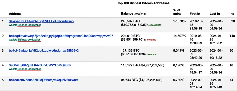 top100-rishest-bitcoin-addres